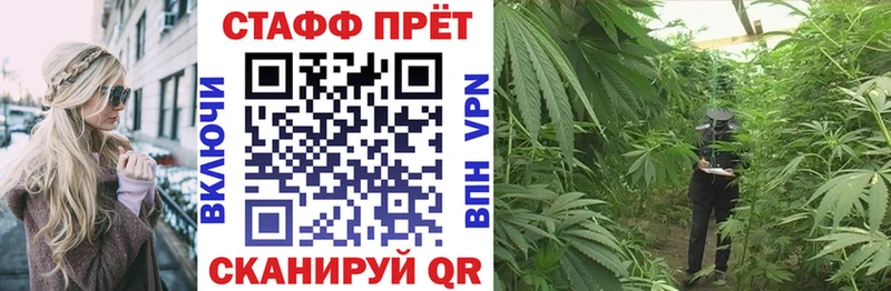 Галлюциногенные грибы Холм