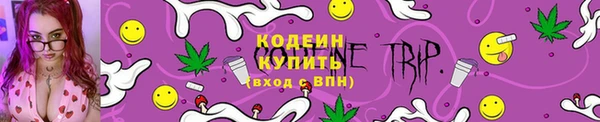 молекула духа Белокуриха