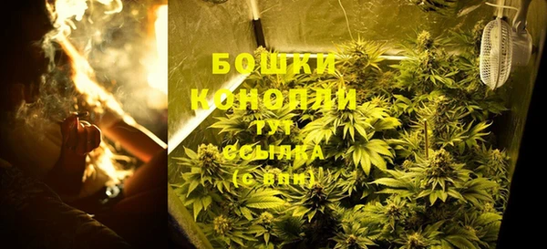 молекула духа Белокуриха
